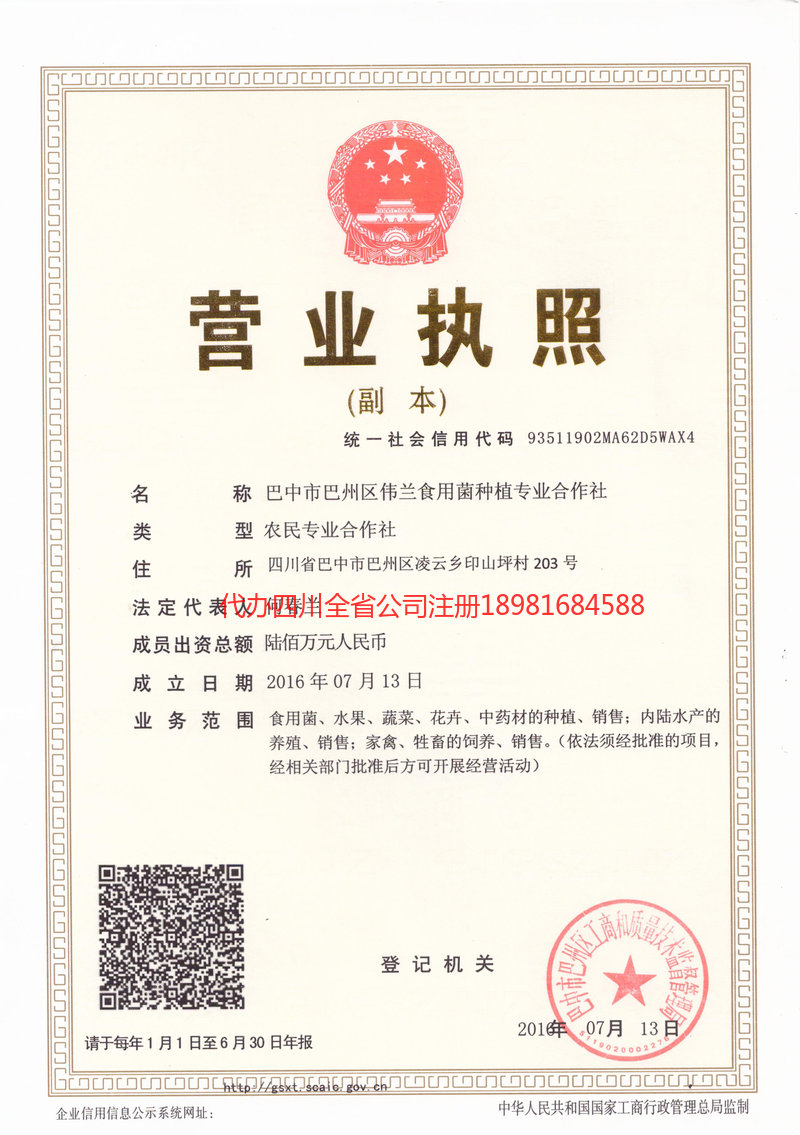 乌苏乌苏伟兰食用菌种植专业合作社